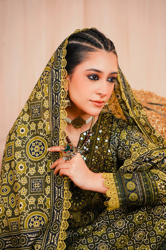 MCGA101-Ready to wear Premium Embroidered Suit